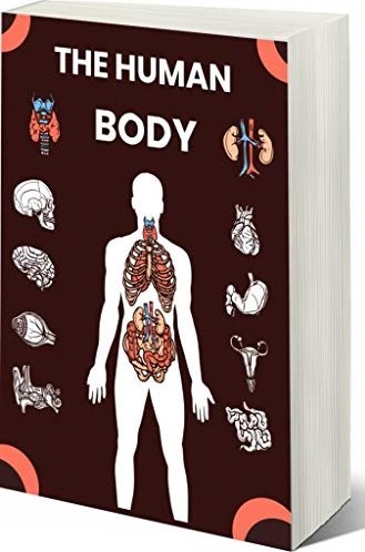 The Human Body By Irete Kana