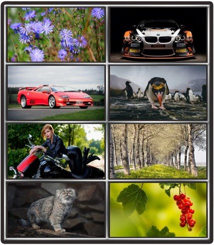 Collection wallpapers to your desktop #1001