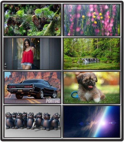 Collection wallpapers to your desktop #1012