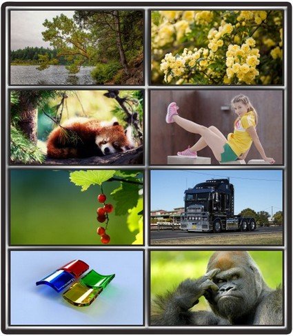 Collection wallpapers to your desktop #1014