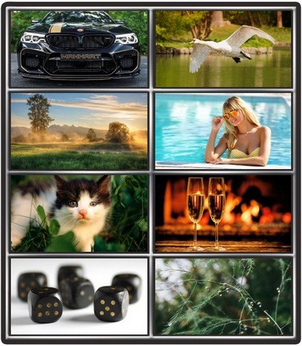 Collection wallpapers to your desktop #1007