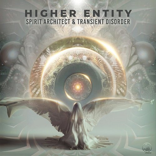Spirit Architect &amp; Transient Disorder - Higher Entity (Single) (2021)