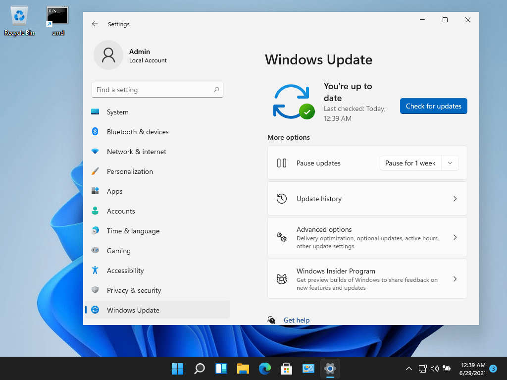 Download Windows 11 Pro Insider Preview Build 22000.51 x64 Untouched ...