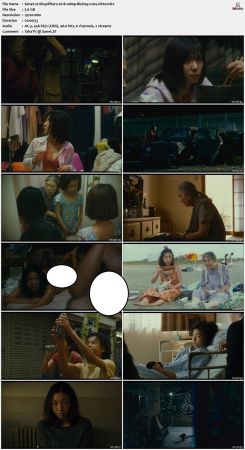 Shoplifters 2018 1080p BluRay x264-nikt0