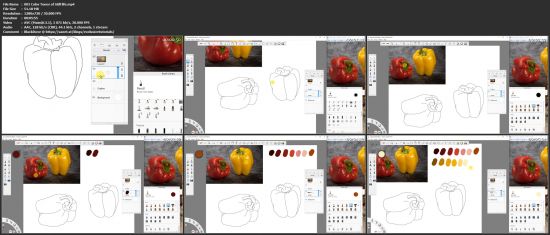 Learn Digital Painting from Scratch: Autodesk Sketchbook