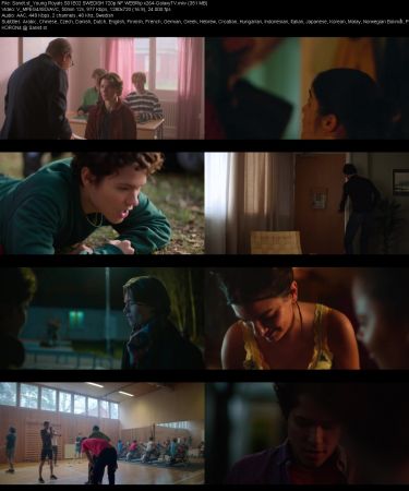 Young Royals S01 SWEDISH 720p NF WEBRip x264-GalaxyTV