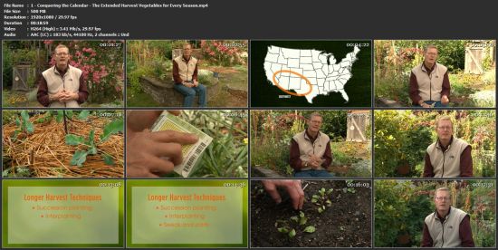 The Extended Harvest: Vegetables for Every Season