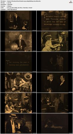 The New School Teacher 1924 1080p BluRay x264-nikt0