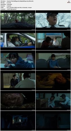 The Wailing 2016 1080p BluRay x264-nikt0