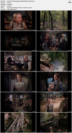 The Yearling 1946 1080p BluRay x264-nikt0
