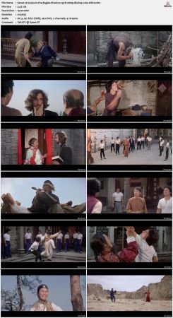 Snake in the Eagles Shadow 1978 1080p BluRay x264-nikt0