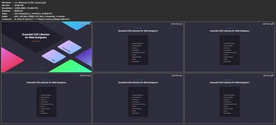Essential CSS Libraries for Web Designers