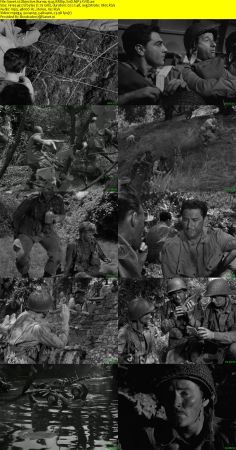 Objective Burma 1945 BRRip XviD MP3-XVID