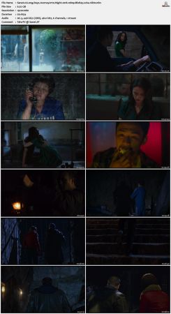 Long Days Journey Into Night 2018 1080p BluRay x264-nikt0