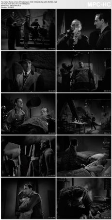 Son of Frankenstein 1939 1080p BluRay x265-RARBG