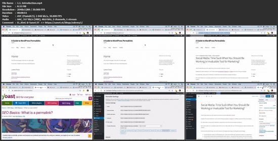 A Guide to WordPress Permalinks