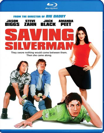 Saving Silverman 2001 1080p BluRay HEVC x265 BONE