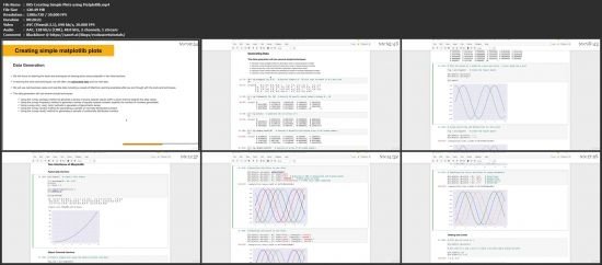 Data Analytics: Python Visualizations