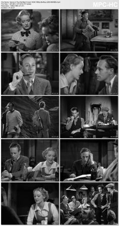 The Petrified Forest 1936 1080p BluRay x265-RARBG