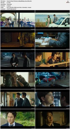 New Trial 2017 1080p BluRay x264-nikt0