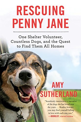 Rescuing Penny Jane: One Shelter Volunteer, Countless Dogs, and the Quest to Find Them All HomesAudiobook