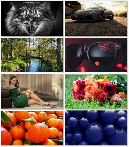 Collection wallpapers to your desktop #1018