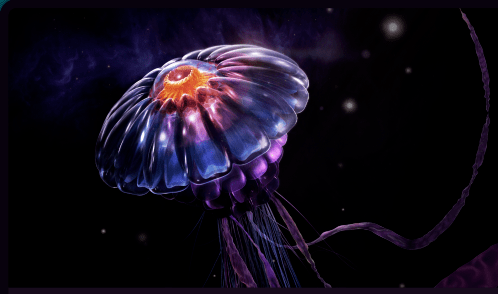 Portable Portable Serif Affinity Photo 1.10.0.1127 + Pack Content