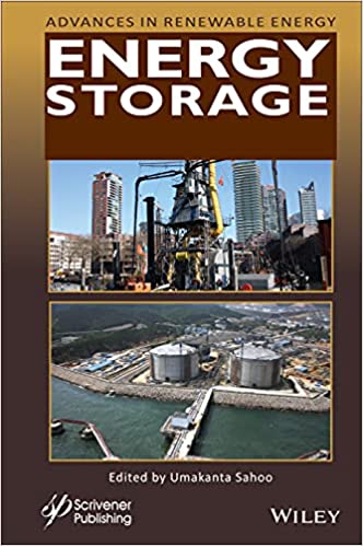 Energy Storage (Advances in Renewable Energy Series)