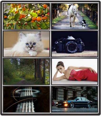 Collection wallpapers to your desktop #1025