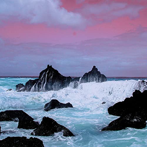 Echo Tail - A Brief Escape from Life (2021), Flac