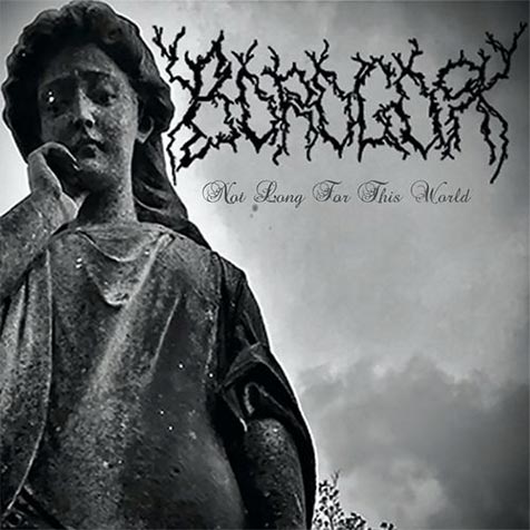 Borogor - Not Long For This World (2021) FLAC / Mp3