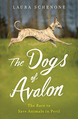 The Dogs of Avalon: The Race to Save Animals in PerilAudiobook