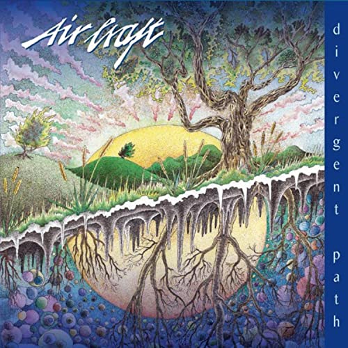 Air Craft - Divergent Path (2021), Flac
