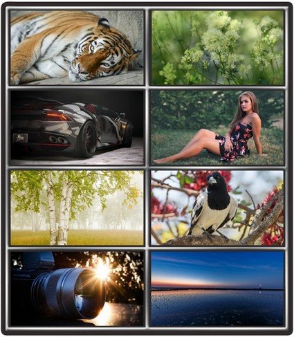 Collection wallpapers to your desktop #1021