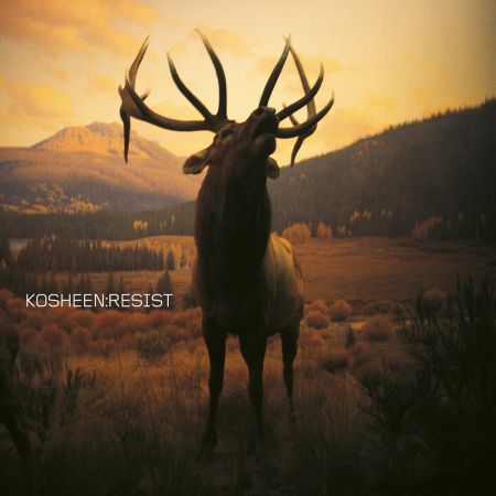 Kosheen - Resist (2021 Remaster) (2001/2021) Official Digital Download