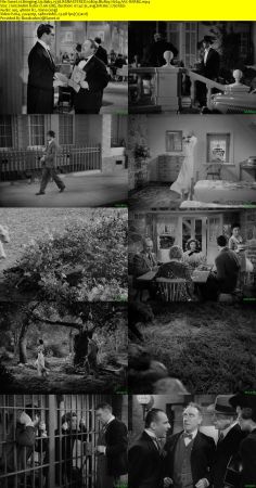 Bringing Up Baby 1938 REMASTERED 1080p BluRay H264 AAC-RARBG