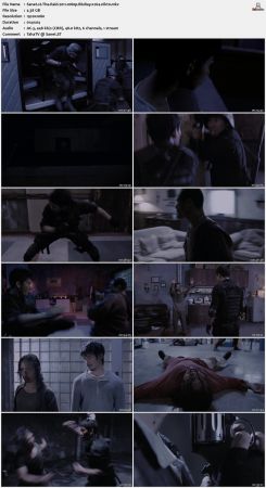 The Raid 2011 1080p BluRay x264-nikt0