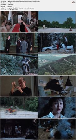 The Armour of God 1986 1080p BluRay x264-nikt0