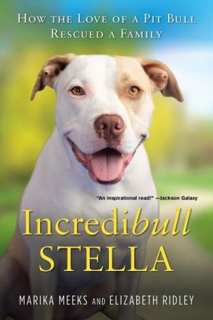 Incredibull Stella: How the Love of a Pit Bull Rescued a FamilyAudiobook