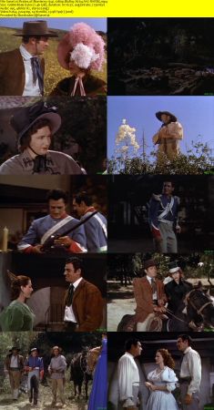 Pirates of Monterey 1942 1080p BluRay H264 AAC-RARBG