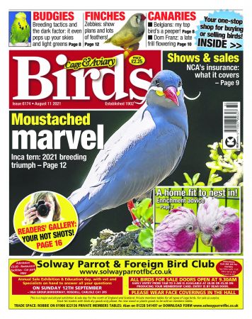 Cage &amp; Aviary Birds "“ August 2021