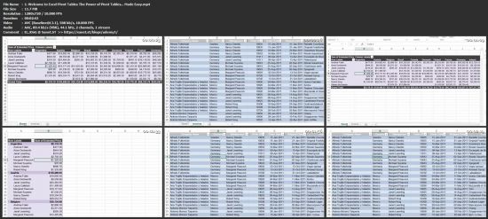 Excel Pivot Tables: The Power of PivotTables... Made Easy