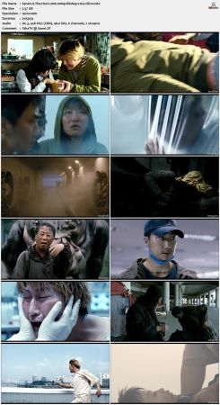 The Host 2006 1080p BluRay x264-nikt0