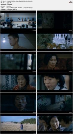 Mother 2009 1080p BluRay x264-nikt0