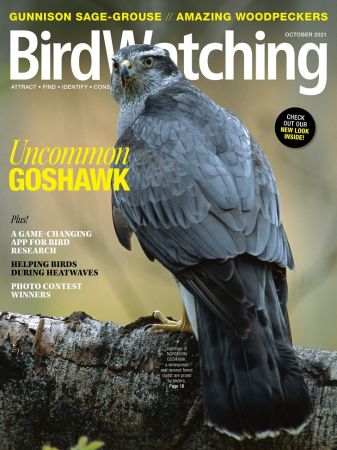 BirdWatching USA - October 2021