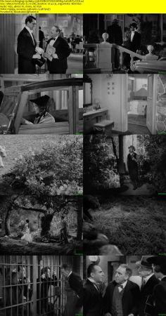 Bringing Up Baby 1938 REMASTERED BRRip XviD MP3-XVID
