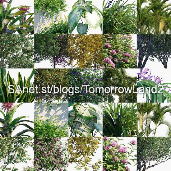 Globe Plants � Bundle 32 Brazilian Home &amp;amp; Garden Plants