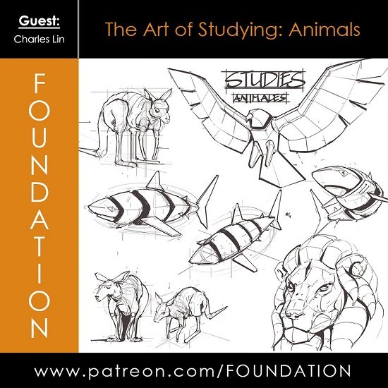 Foundation Patreon - The Art of Studying Animals by - Charles Lin