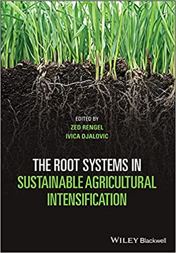 The Root Systems in Sustainable Agricultural Intensification