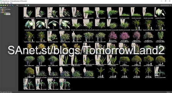 Globe Plants � Bundle 32 Brazilian Home &amp;amp; Garden Plants